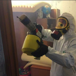 Уничтожение клопов в квартире. Зерноград